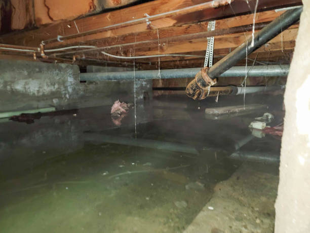 Best Water damage restoration experts  in Johnstown, NY