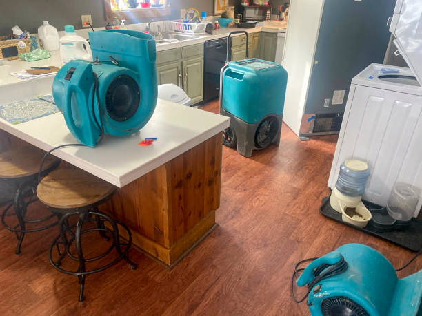 Best Basement water damage restoration  in Johnstown, NY