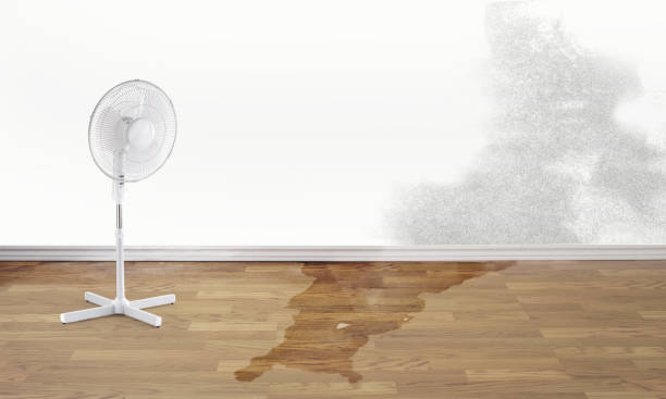 Best Residential water damage restoration  in Johnstown, NY
