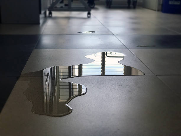 Best Water damage restoration near me  in Johnstown, NY