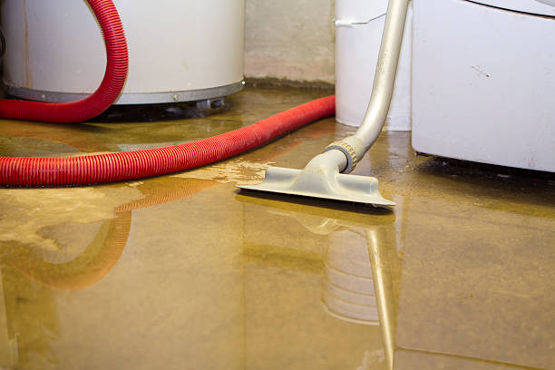 Best Water damage contractors near me  in Johnstown, NY