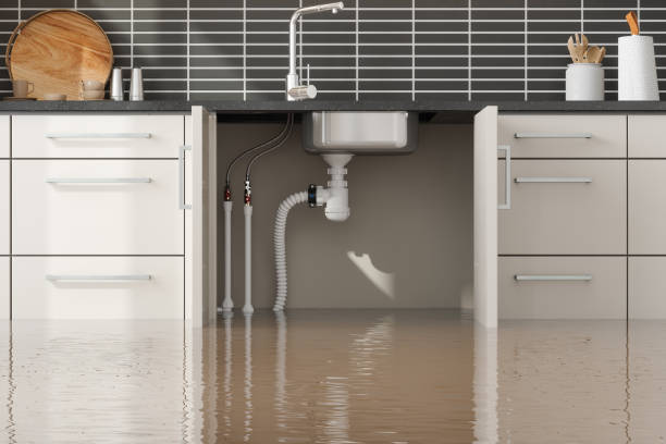 Best Water damage restoration process  in Johnstown, NY