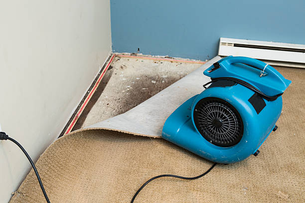 Best Flood damage cleanup  in Johnstown, NY